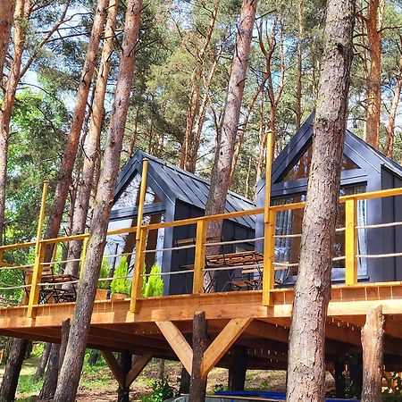 Domki Na Drzewach Скорохув Екстер'єр фото